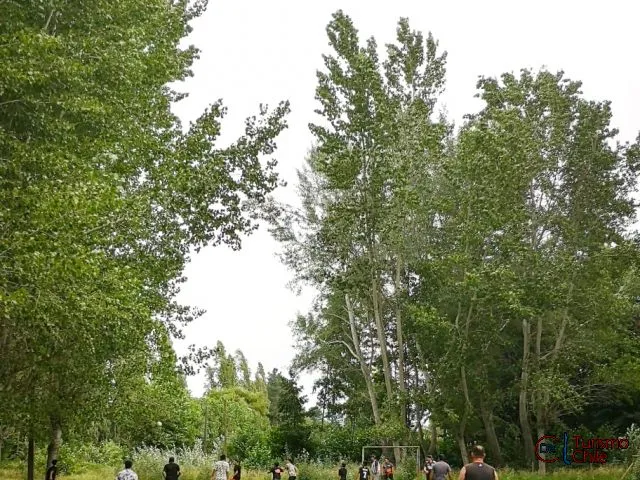 Cancha de fútbol entre los árboles del camping